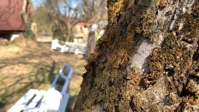 Територія спокою — відео: Атмосфера