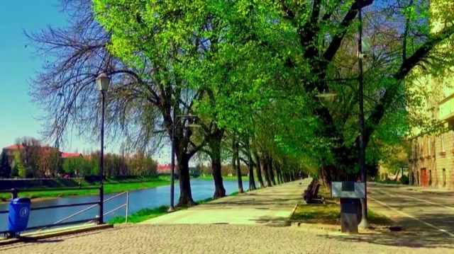 Тихі Танці — фото 11 з 14